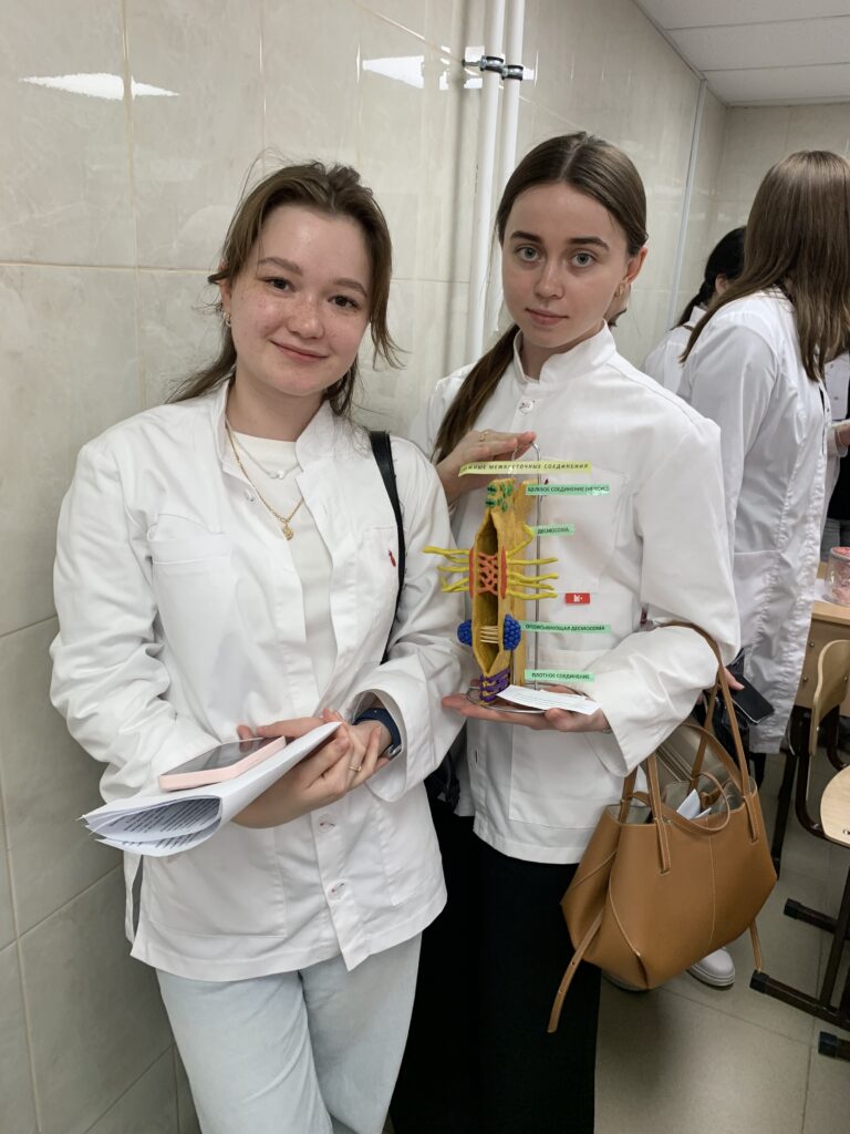 Выставки студенческих работ: «Цитология в 3D моделях» и «Синдром 3D двойника»